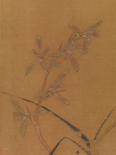 Orchidées, deuxième quart du XIIIe siècle (feuille d