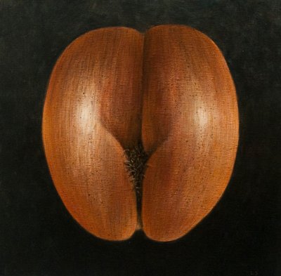 Coco de Mer - Lincoln Seligman