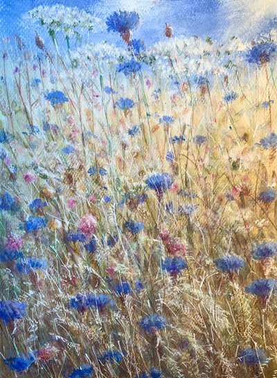Bleuets 2 - Lincoln Seligman
