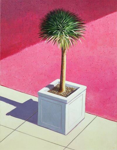Petite palme, 1995 - Lincoln Seligman