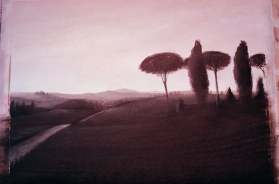 Paysage toscan, 1992 - Lincoln Seligman