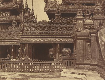 Amerapoora : une autre partie du balcon de Kyoung n° 86 - Linnaeus Tripe