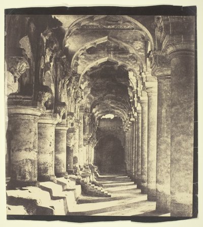 Arcade dans la cour - Linnaeus Tripe