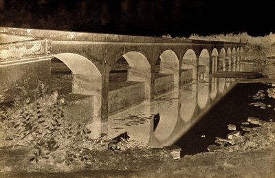 Pont près de la maison du collecteur, Shungavellor, Inde - Linnaeus Tripe