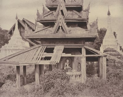 Tsagain Myo : Tazoung en ruines - Linnaeus Tripe