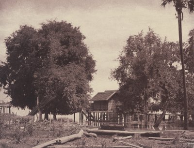 Tsagain Myo : Vue près de la rivière Irrawadi - Linnaeus Tripe