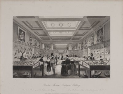 Vue de la galerie zoologique du British Museum montrant des visiteurs regardant des expositions, vers 1850 (gravure) - Llewellyn (after) Jewitt