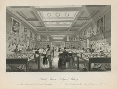 Salle zoologique au British Museum - Llewellyn Jewitt