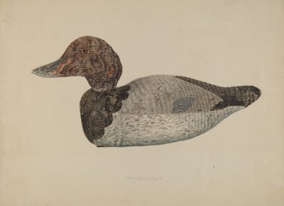 Canard Leurre #1 - Lloyd Charles Lemcke