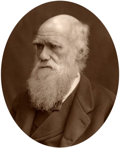 Charles Darwin - Lock and Whitfield