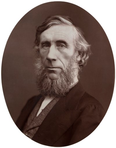 John Tyndall, DCL, LLD, FRS, professeur de philosophie naturelle à la Royal Institution, 1877 - Lock and Whitfield