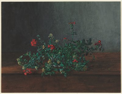 Nature morte avec des fleurs sauvages - Léon Bonvin