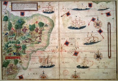 Carte hydrographique du Brésil - Manuscrit enluminé Atlas nautique portugais par le cartographe Loppo Homem 1519 Paris. B.N. - Lopo Homem