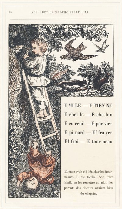 Émile, Étienne, Échelle, Échelon, Écureuil, Moineau, Épinard, Épouvantail, Farry, Stourneau, page 18 - Alphabet par Mademoiselle Lili, par L. Froelich et par un papa (Hetzel lui-même). Bibliothèque & Magasin d