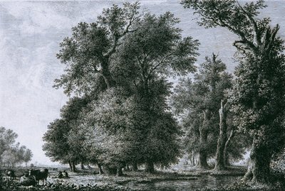 Paysage avec chênes - Lorenz Adolf Schönberger