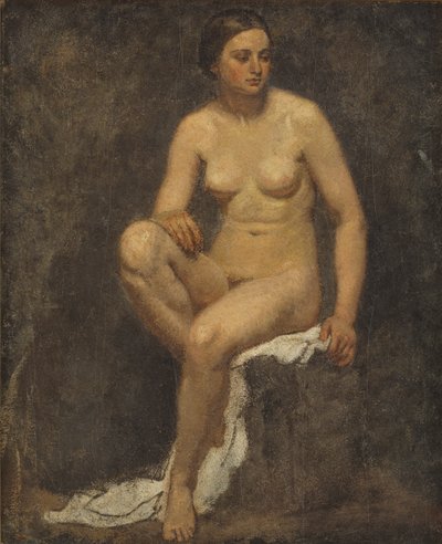 Nu féminin dans l