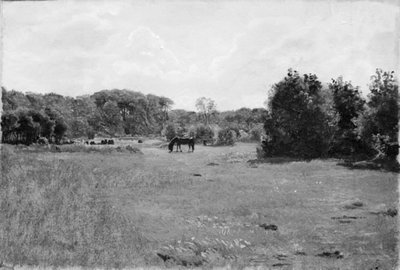 Prairie où paît un cheval noir - Lorenz Frølich