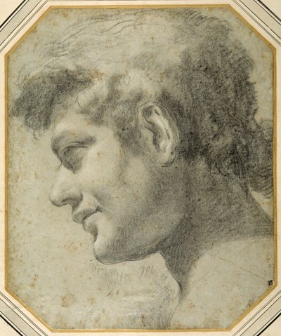 Tête de jeune homme de profil, regardant vers le bas - Lorenzo  Garbieri