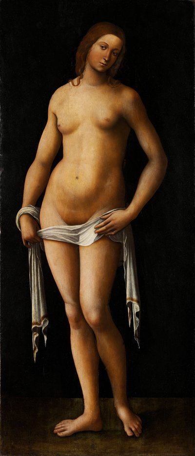 Venus - Lorenzo Costa