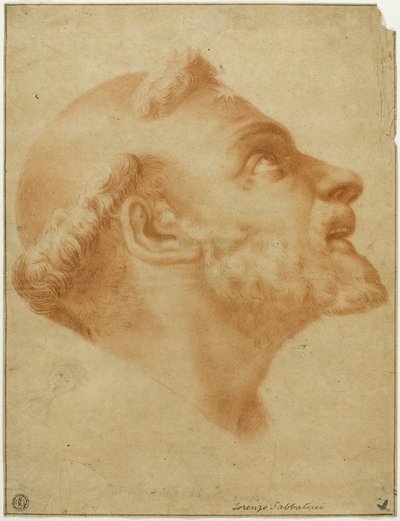 Tête renversée de Saint Dominique - Lorenzo Sabbatini