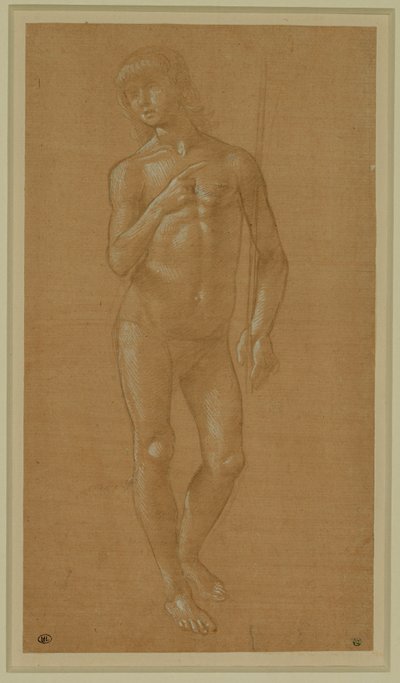 Jeune homme nu, visage plein, tenant un bâton Plume en argent, rehaussée de blanc, papier rose pâle ... - Lorenzo di Credi