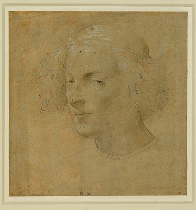 Portrait d