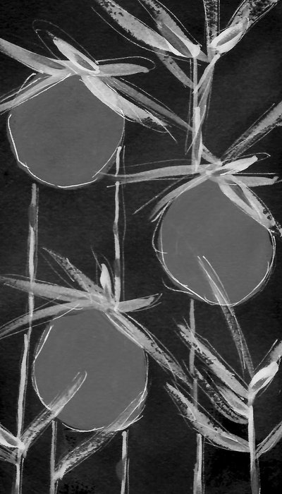 Formes botaniques abstraites - Lori Ann Folz