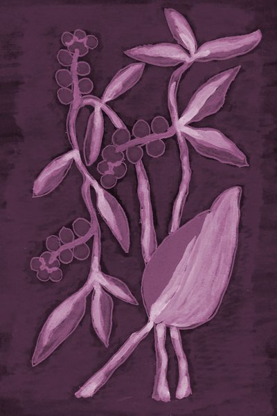 Deep Purple Botanicals - Lori Ann Folz