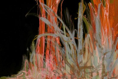  - Lori Ann Folz