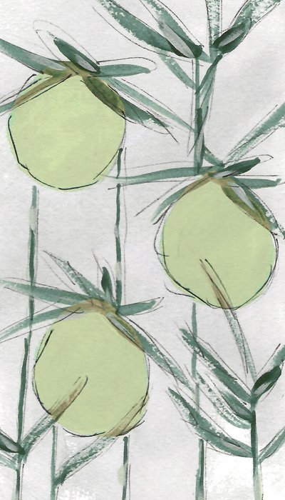 Produits botaniques verts frais - Lori Ann Folz
