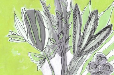Produits botaniques verts frais - Lori Ann Folz