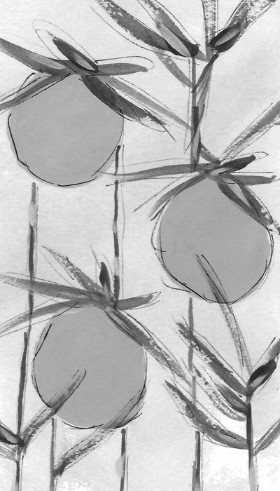 Organic Ink Botanicals - Lori Ann Folz