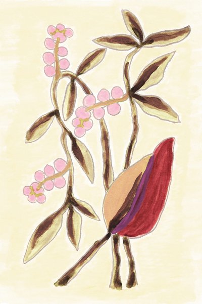 Pink Berry Botanicals - Lori Ann Folz