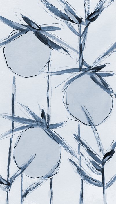Tiges de coton sereines - Lori Ann Folz