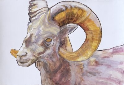 Longhorn Américain, 2004 - Lou Gibbs