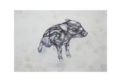 Petit Cochon - Lou Gibbs