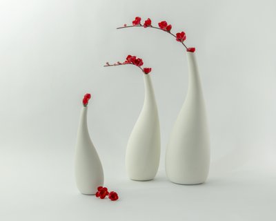 Vases rouges et fleurs - Louie Luo