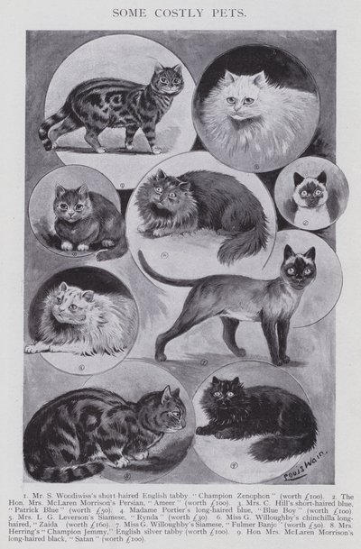 Quelques animaux de compagnie coûteux (lithographie) - Louis (after) Wain
