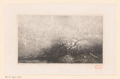 Paysage avec un arbre près d