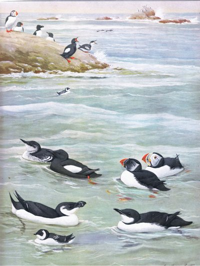 Illustration de L