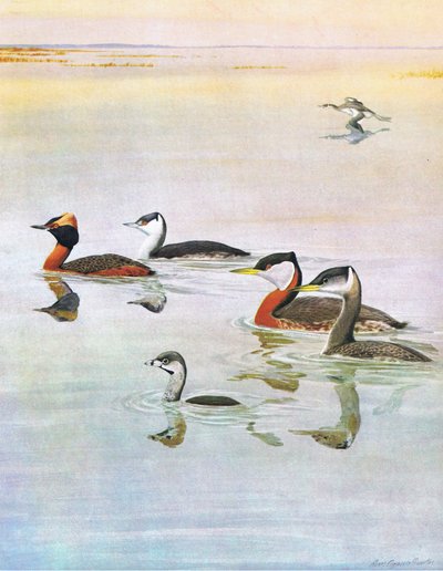 Illustration de L