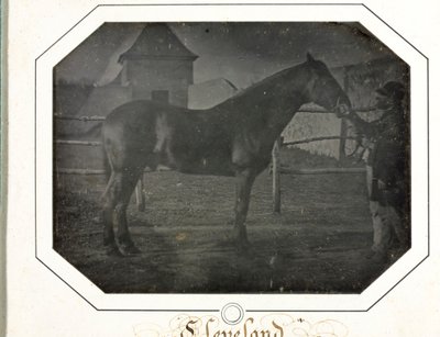 Cleveland, vers 1842-1843 - Louis Auguste Bisson