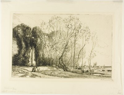 Belle matinée d