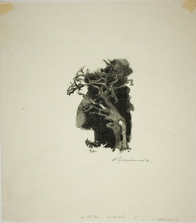 Le Spitfire - Louis Auguste Lepère