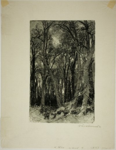 Winter: Bas-Bréau - Louis Auguste Lepère