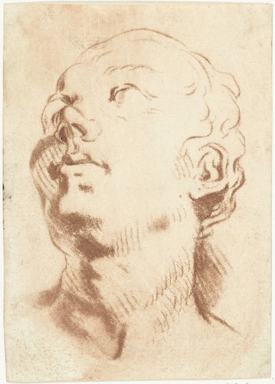 Feuille d