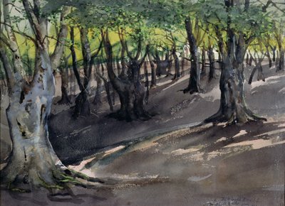 Le cœur de la forêt d