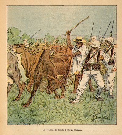 La guerre à Madagascar - Histoire anecdotique des expéditions françaises de 1885-1895 par Henri Galli dit Galllichet (1854-1922), illustrée par Louis Bombled (1862-1927) : À Diego-Suarez, l