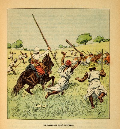 La Guerre à Madagascar - Histoire anecdotique des expéditions françaises de 1885-1895 par Henri Galli dit Gallichet (1854-1922), illustrée par Louis Bombled (1862-1927) : La chasse aux bœufs sauvages à Madagascar en 1895, Collection privée - Louis Charles Bombled