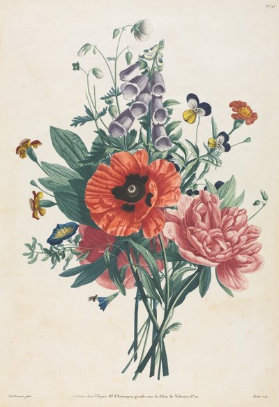 Collection de fleurs et de fruits peints d